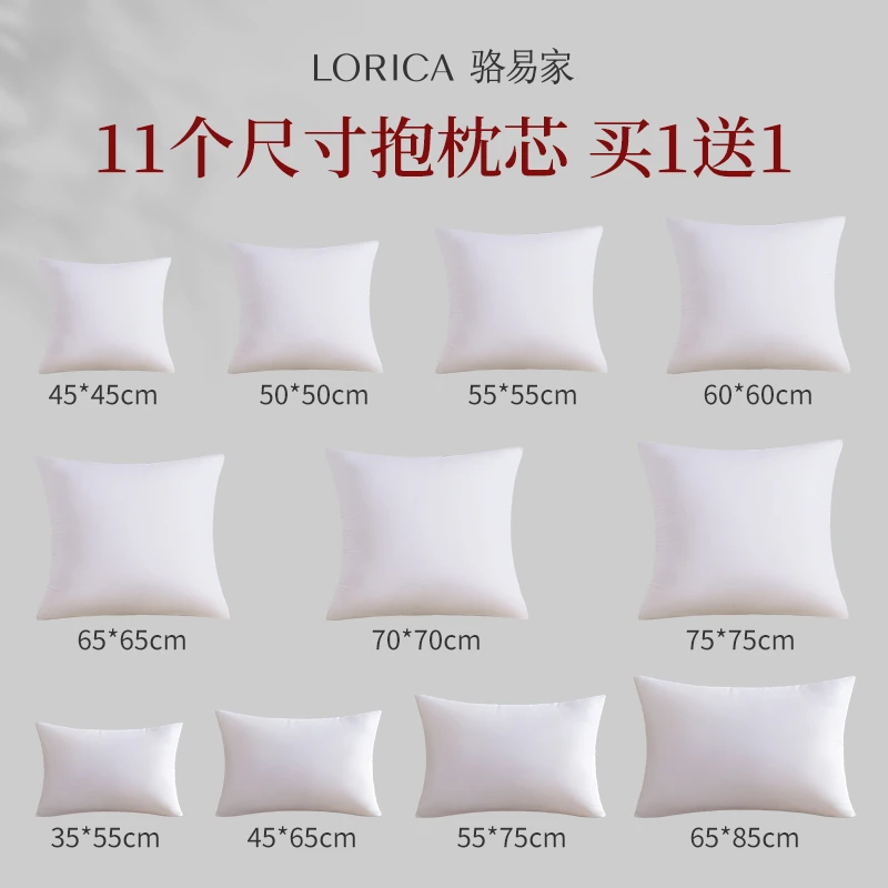 骆易家抱枕芯内胆客厅沙发靠垫正方形抱枕头女生睡觉专用