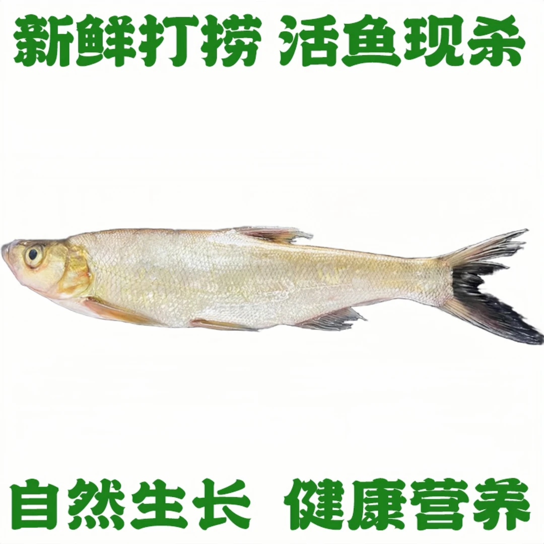 同城配送 正宗泉水鲜活大白刁 活鱼现钓现杀洗好， 当日配送
