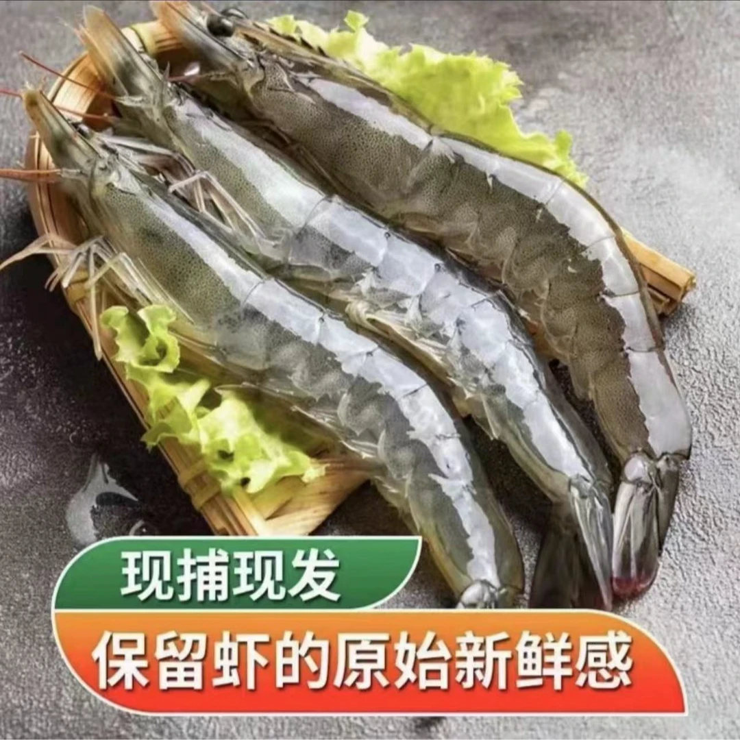 2030特大号新鲜海洋海捕大虾5斤 （单只16-18厘米，一斤10-15只）