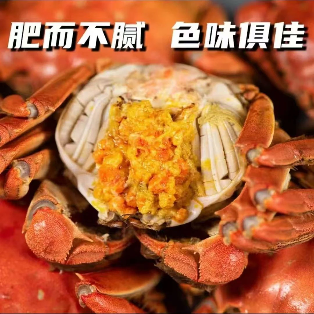 【江苏活蟹】鲜活河蟹1.2-0.9两/只 （公蟹15只母蟹15只 到手30只）