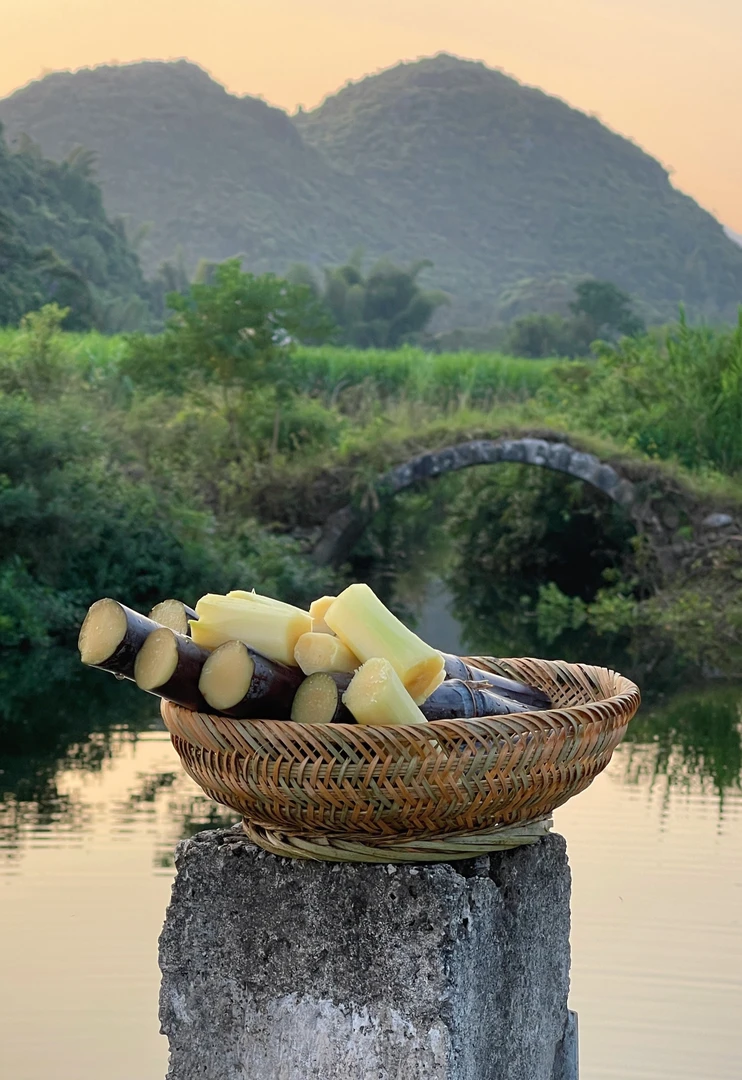 【林林夫妇】阳朔糖心甘蔗-黑皮水果甘蔗-清甜-多汁-皮薄-脆口松软