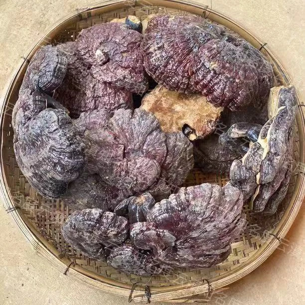 【琴妹专属】红~灵~之农产品