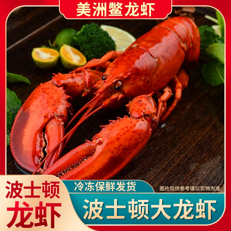 冰鲜熟冻波士顿野生水产波龙海鲜超特大1斤加拿大鲜活（含冰衣10%)