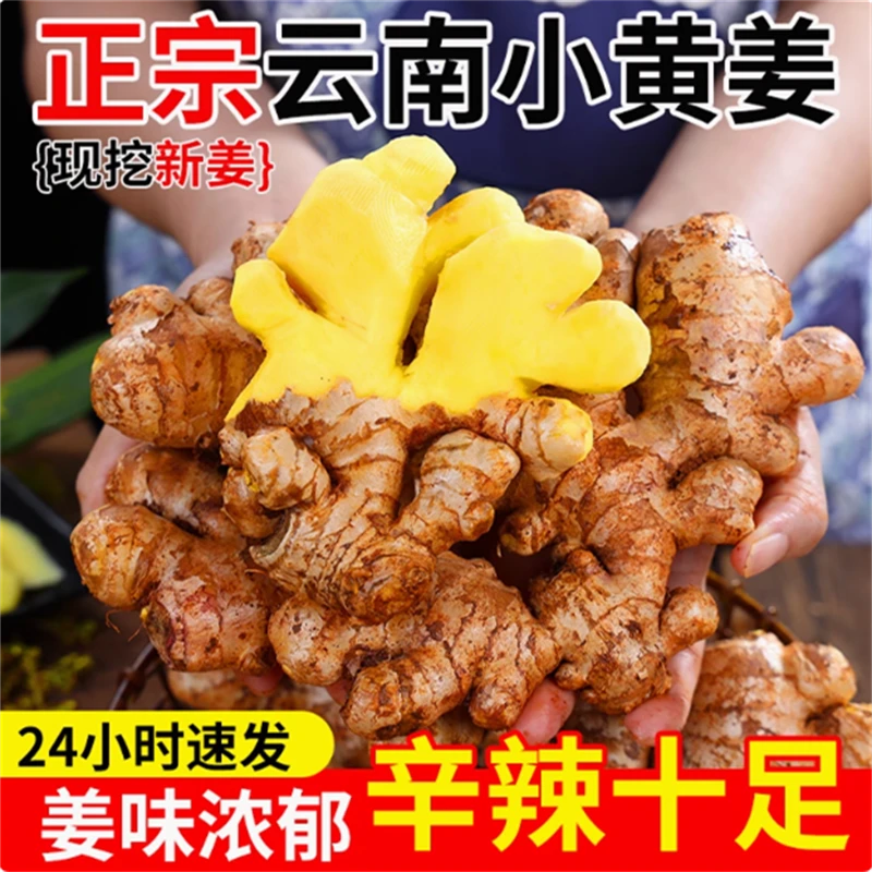 正宗云南小黄姜新鲜农家自种生姜老姜现挖沙姜土姜嫩姜批发包邮