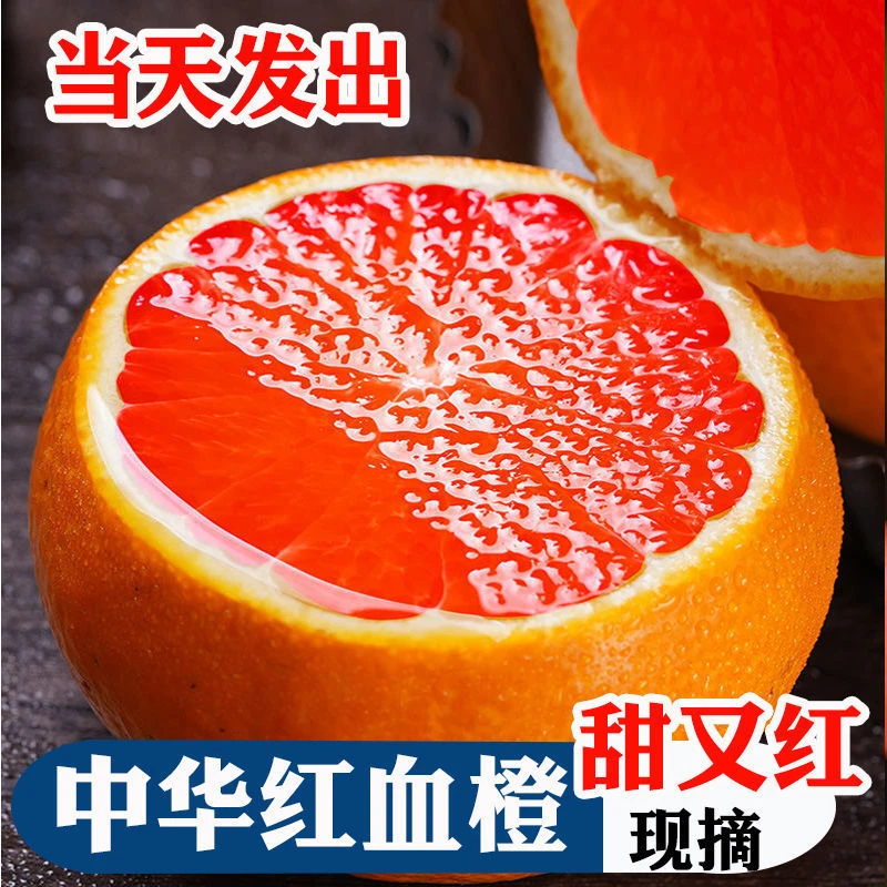 G湖北产地直发中华红血橙新鲜农家果园香甜多汁