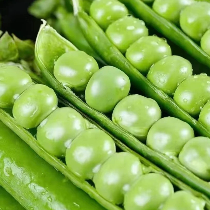 云南新鲜豌豆3/5/9斤装时令蔬菜甜豌豆嫩豆荚现摘现发带壳发货