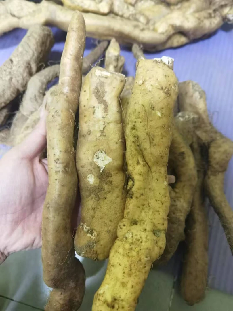 太行山宝泉野生风铃怀断果山药5斤