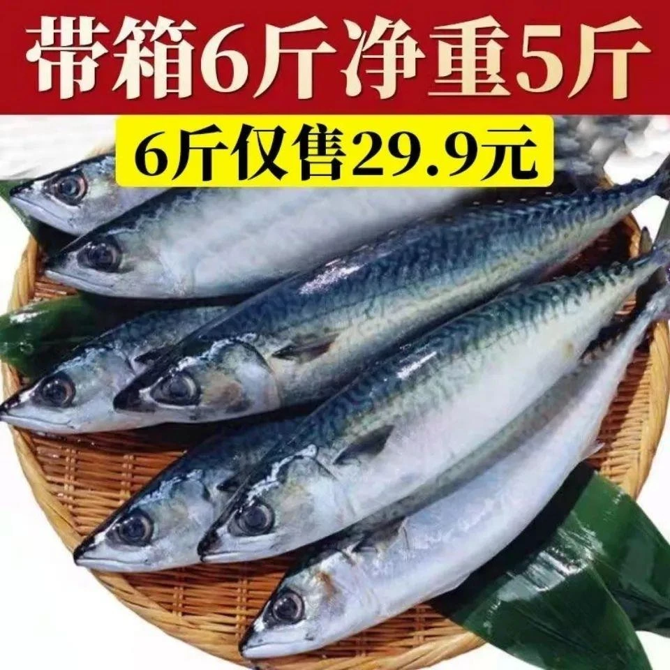 青鱼鲅鱼青占鱼新鲜鲅鱼新鲜特大青花鱼青条鱼深海鲐鲅鱼批发海鲜