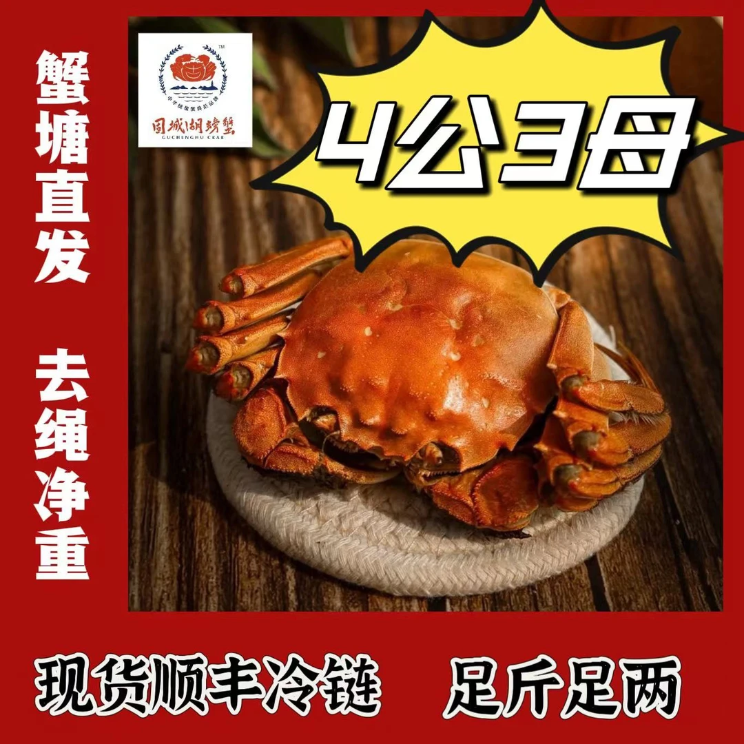 【精品活蟹】固城湖大闸蟹（公蟹4两+母蟹3两）6-10只装 蟹塘直发
