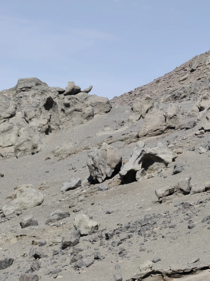 新疆哈密戈壁石奇石风凌石手玩石景观石直播链接