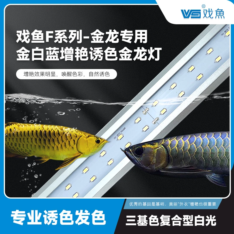 戏鱼金龙鱼虎鱼增色鱼缸灯全光谱三基色高亮高显色鱼缸防水支架灯