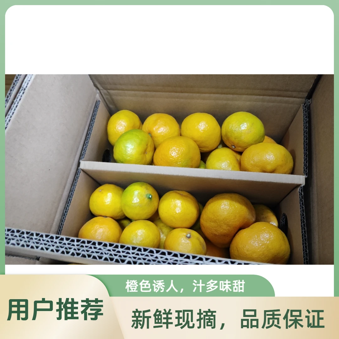 石门蜜橘 自家果无农药种植现采现