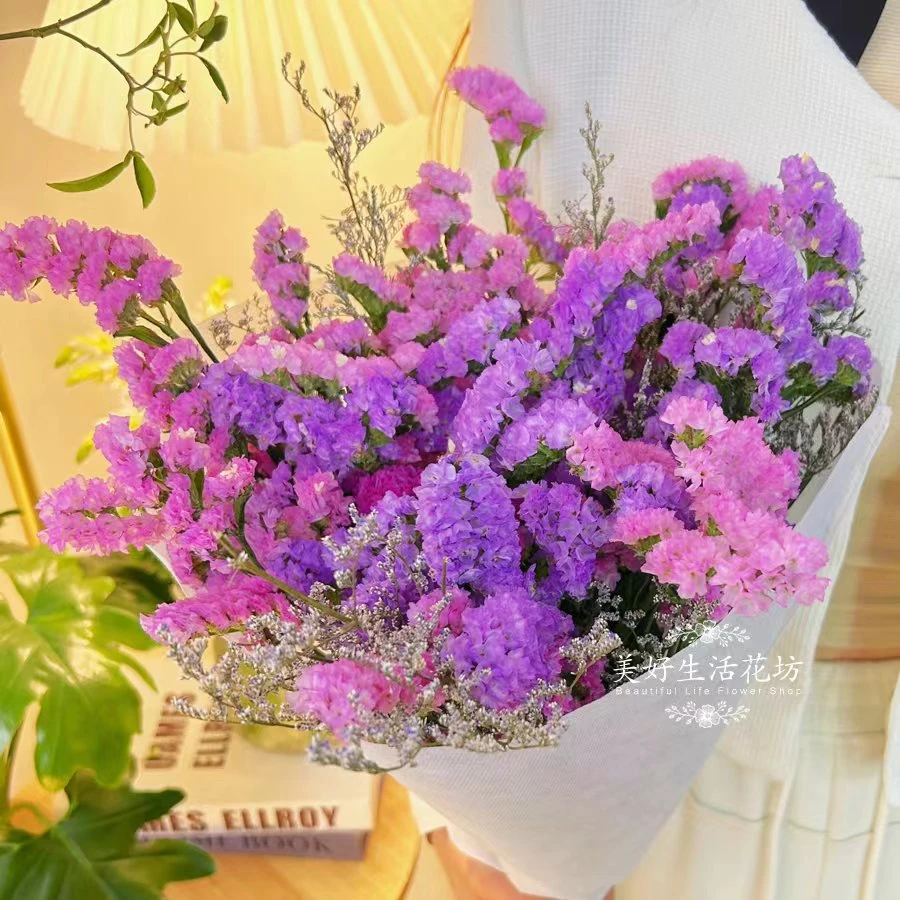 【书记助农邀约专属】云南A级勿忘我鲜花干花花束插花卉礼物花