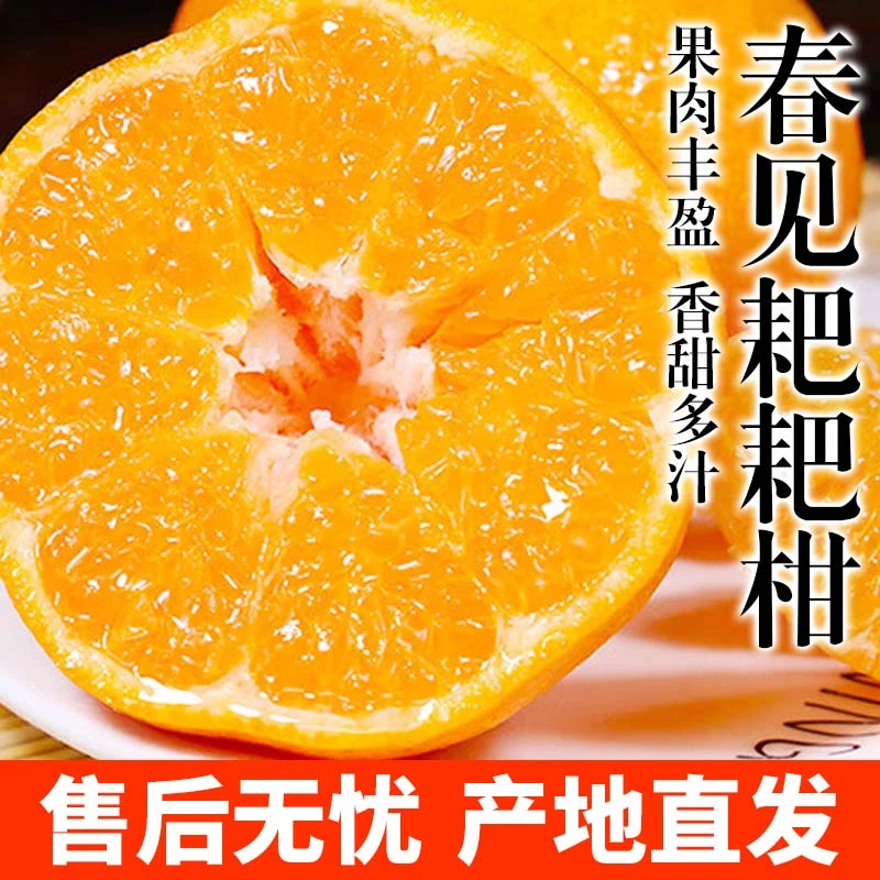 四川春见耙耙柑新鲜水果多汁酸甜耙耙柑产地直发