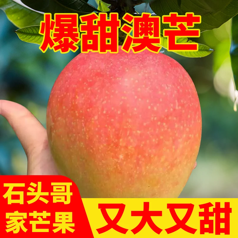 正宗澳芒大芒果新鲜水果饱满软糯香甜鲜嫩细腻多汁1/5/9斤进口