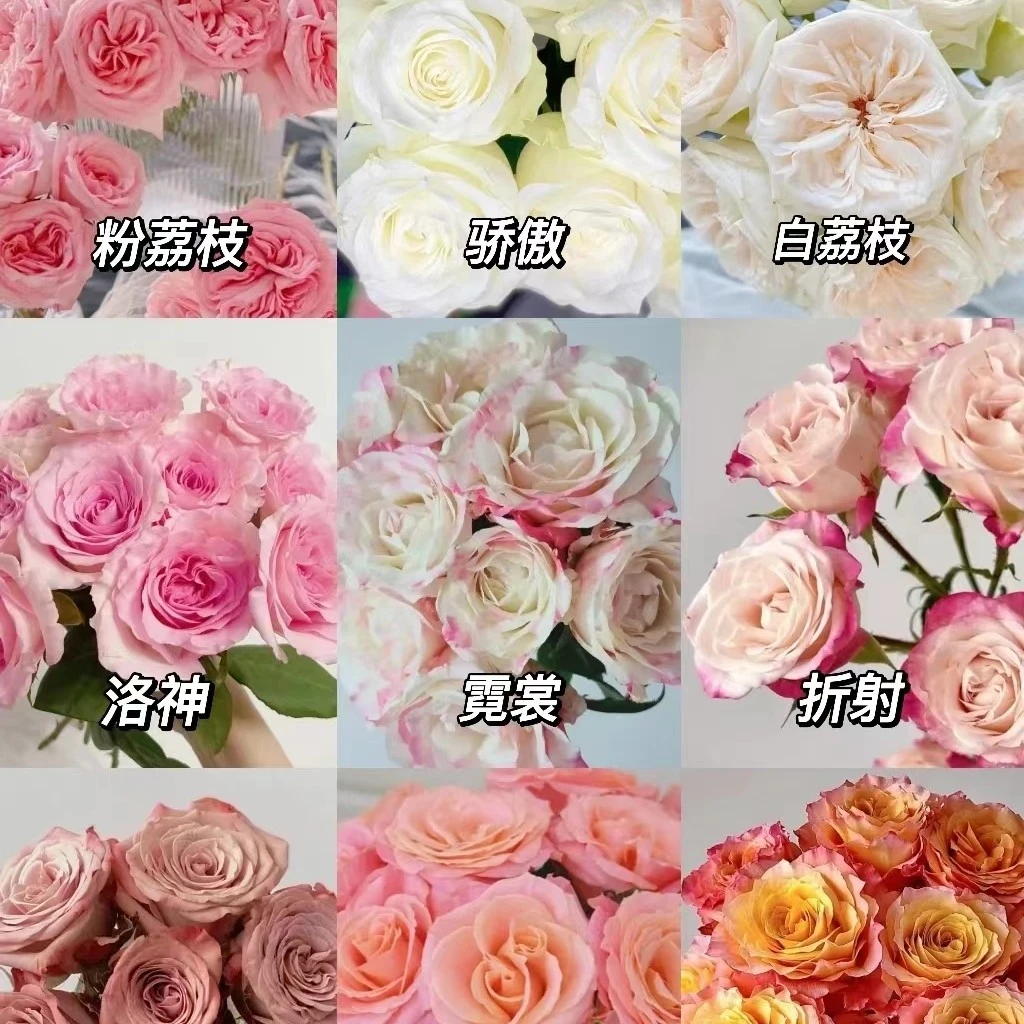 直播间鲜花浮力-（当场挑花不支持退款，扫底不售后）建议慎拍！