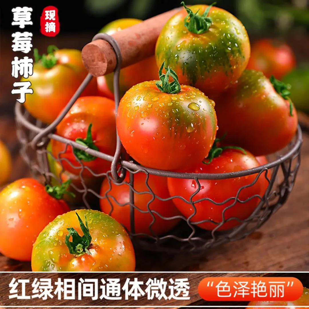 正宗碱地铁皮柿草莓西红柿净重5斤