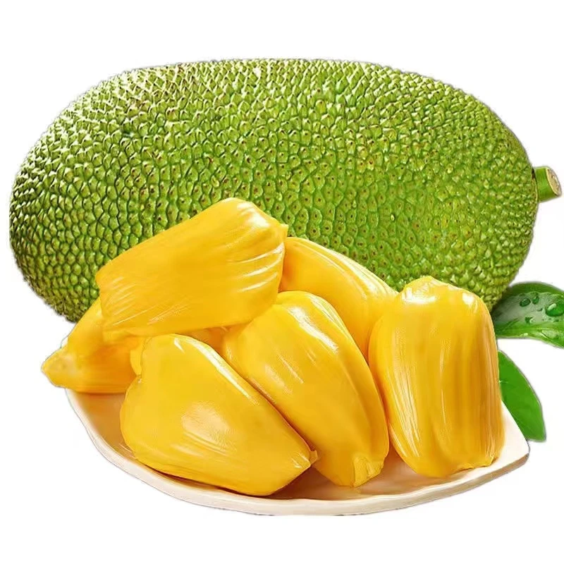 精选称果 海南黄肉菠萝蜜新鲜水果当季木波罗蜜一整个10-38斤