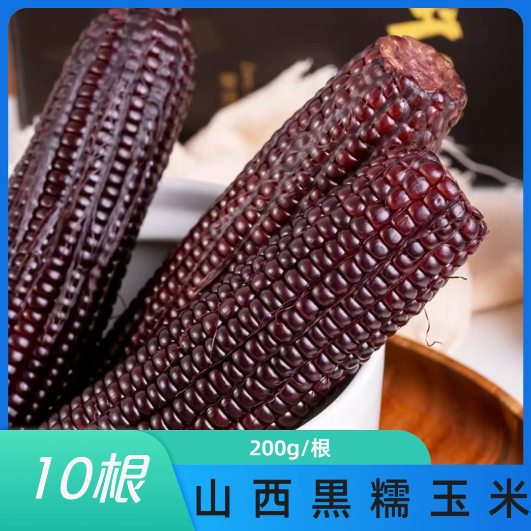 【一箱10根】200g/根非转基因24年五台山黑糯玉米A24