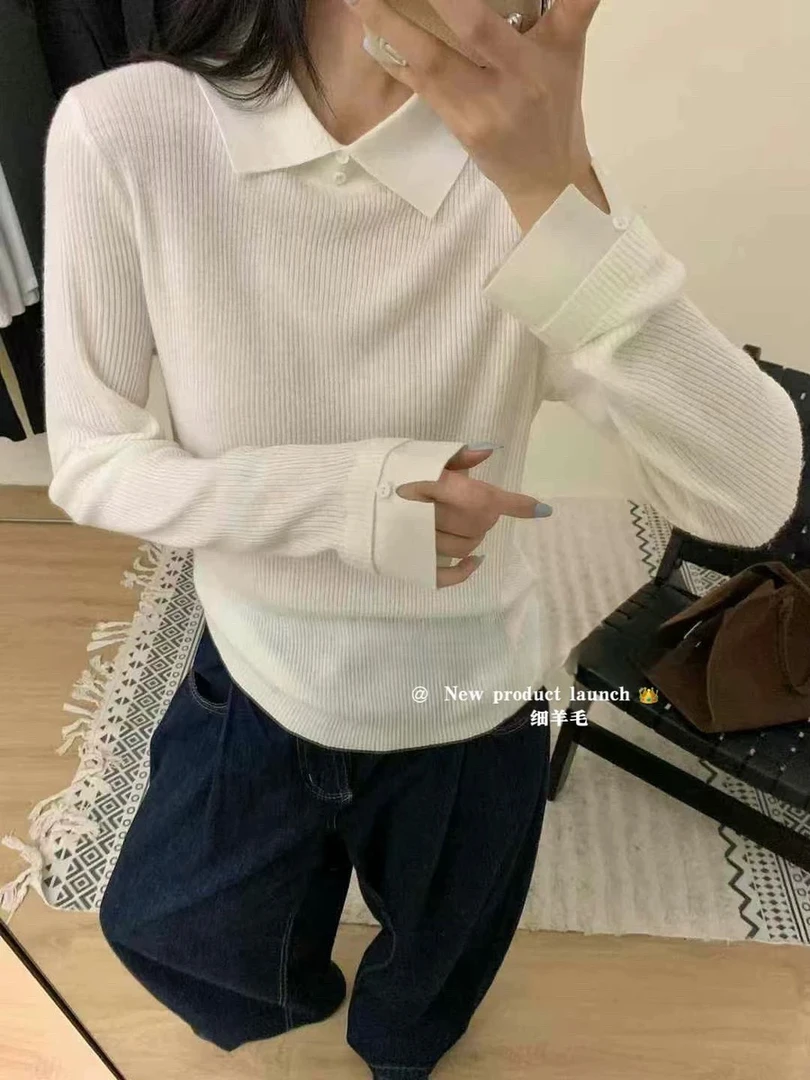 欧洲站2024秋冬新款欧货翻领纯色细羊毛针织衫简约显瘦百搭上衣潮