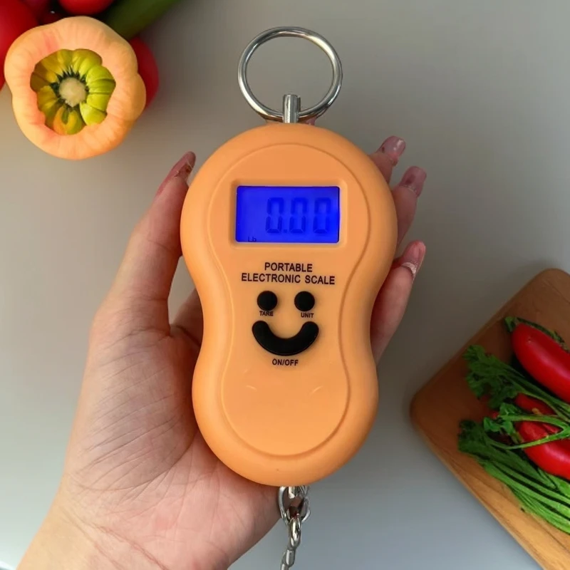 手提秤 电池款挂钩式电子称 可以称100斤 HY小型称菜便携式小秤