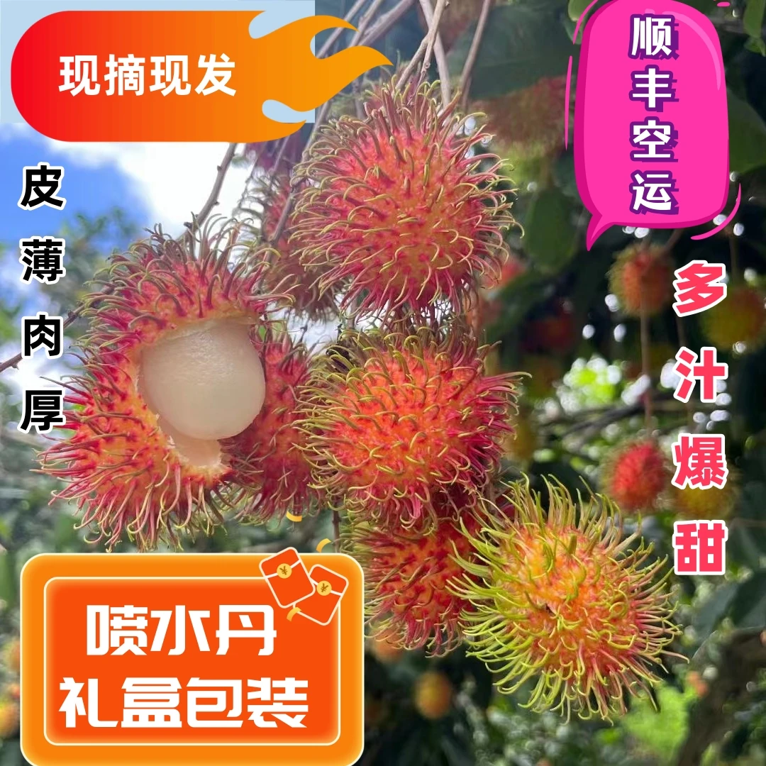 红毛丹海南保亭7号孕妇小孩水果夏季应季水果1/2/3/5斤顺丰空运