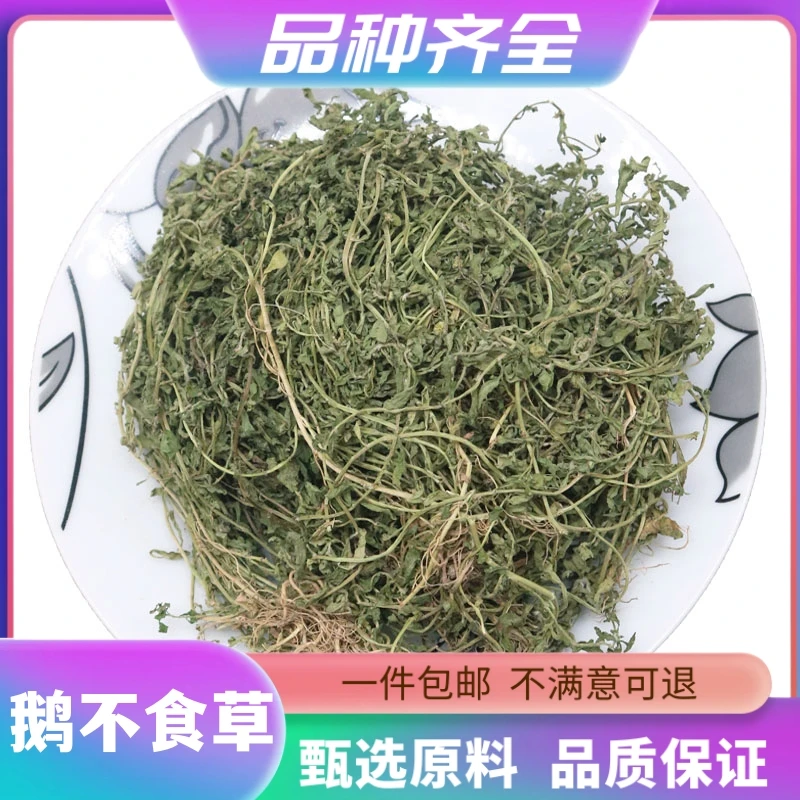 鹅不食草120克无硫鹅不食草新草饿不食草鹅不食草草沙飞草非甘草