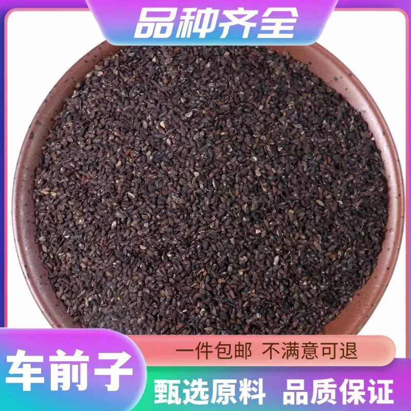 车前子120g包邮正品无硫车前子籽车前子茶车前草籽洋车前籽非枸杞