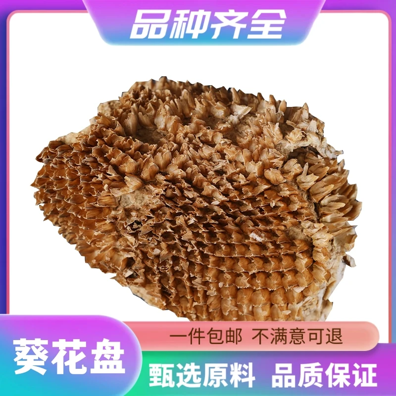 葵花盘干向日葵煲汤正宗葵瓜子盘瓜子盘葵花托底盘120g无硫非枸杞