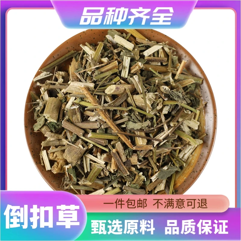 正宗倒扣草120g克别名牛舌大黄倒钩草牛膝头包邮非黄芩