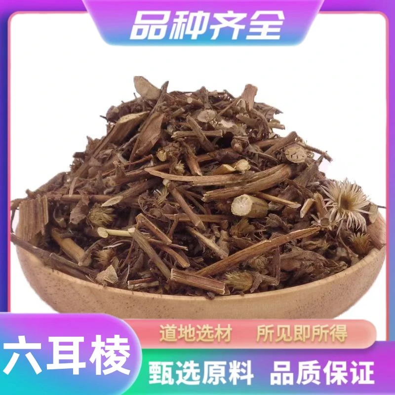 正品六耳棱120g  臭灵丹 草羊尾三靓六耳棱 鹿耳翎鹿耳苓非芡实