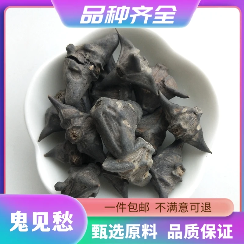 鬼见愁红菱菱角壳四角红菱壳菱角蒂鬼不缠干铁菱角无硫120g非芡实