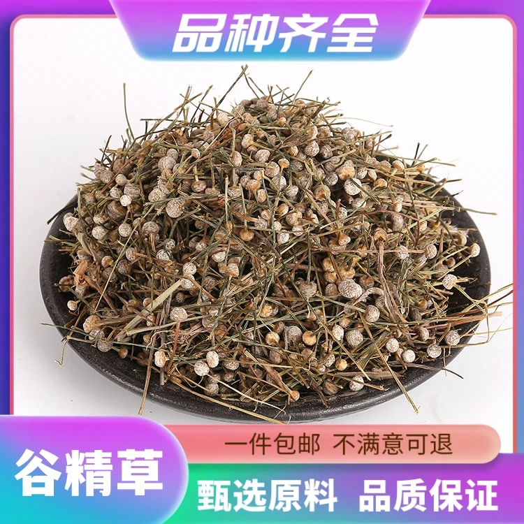 谷精草120g精选谷精草散装连萼谷精草珍珠草正品新货无硫非芡实