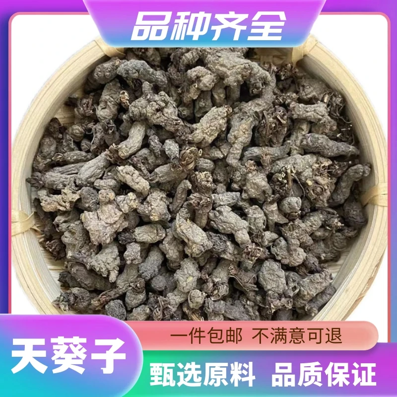 无硫天葵子120g无硫天葵草屎水洗天葵子千年老鼠紫背天葵子非芡实