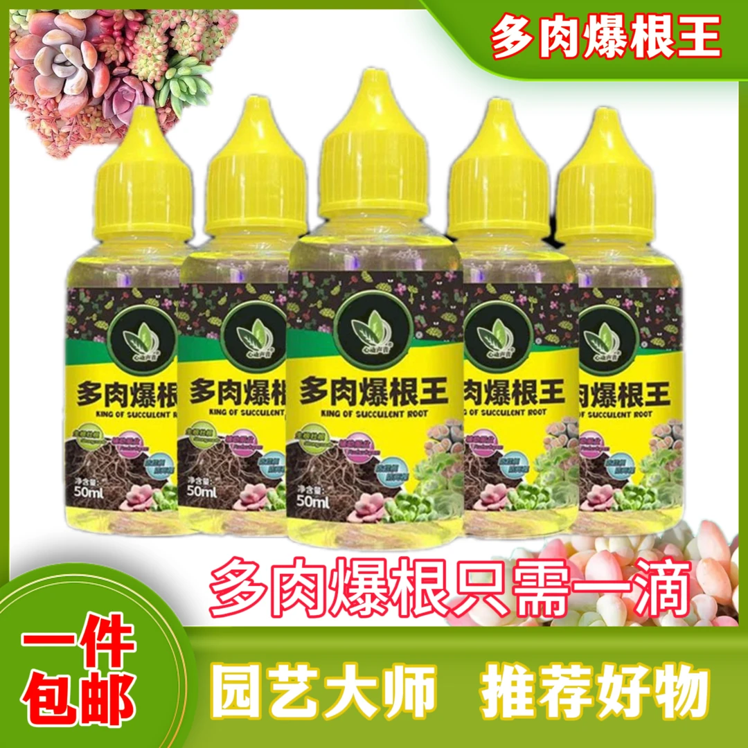 多肉爆根王快速生根壮苗剂换土植物专用养花水肥通用营养液生根液