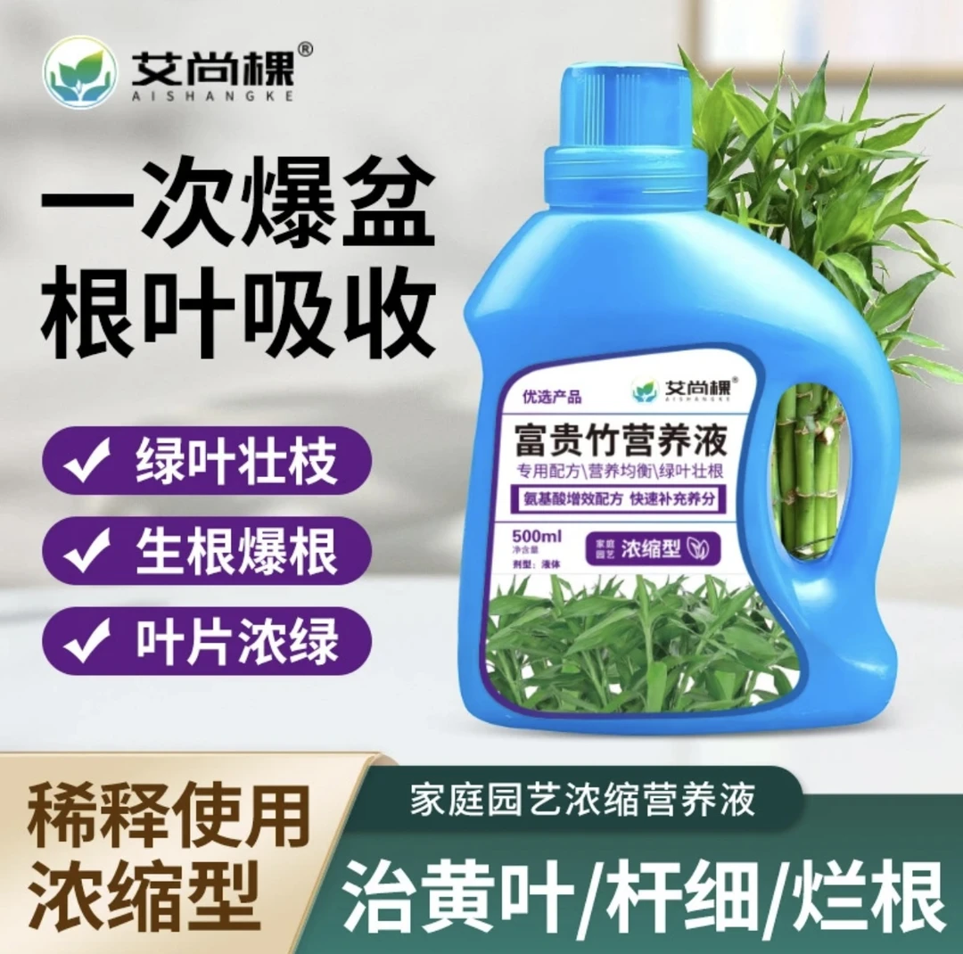 富贵竹文竹观音竹米竹文昌竹水竹风车竹营养液养花卉绿植水培专用
