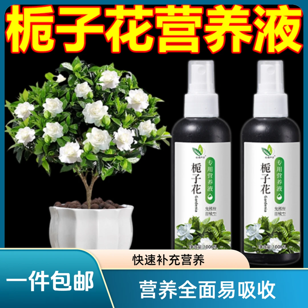 【专治掉苞】栀子花营养液防黄叶烂根生长缓慢掉花苞催开花专用肥