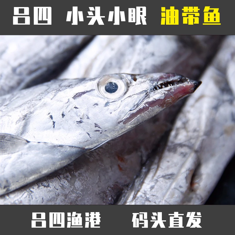 正宗小眼睛 老鹰带 鲜品微冻发货