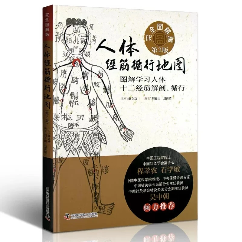人体经筋循行地图  书籍