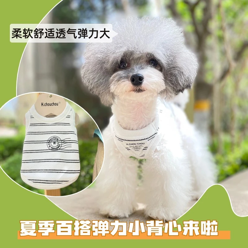丑丑宠物泰迪雪纳瑞比熊约克夏马尔济斯狗狗小型犬夏季弹力背心