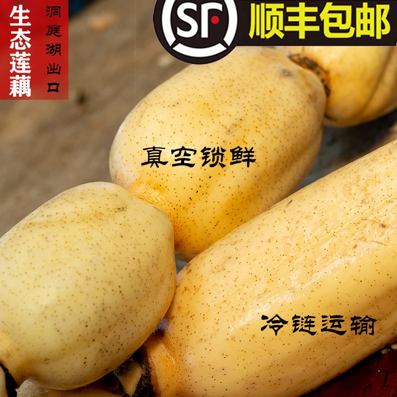 【顺丰包邮】洞庭湖原生态白莲藕炖排骨深水湖藕