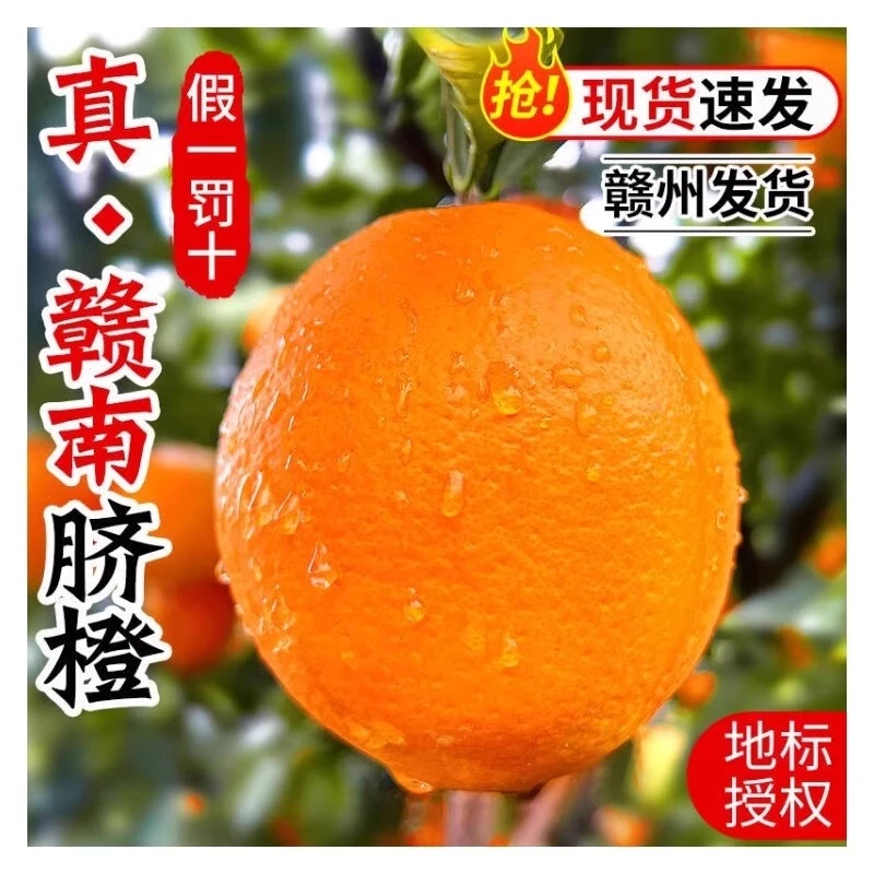当季新果正宗江西赣南脐橙当季新鲜手剥甜橙子孕妇水果赣州直发