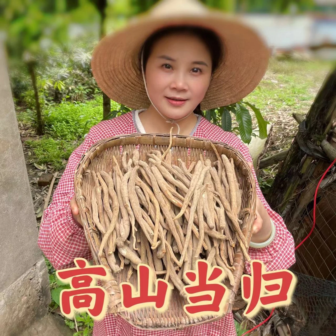 2024野生 土当归  高山甜当归 软糯香甜炖汤煮水