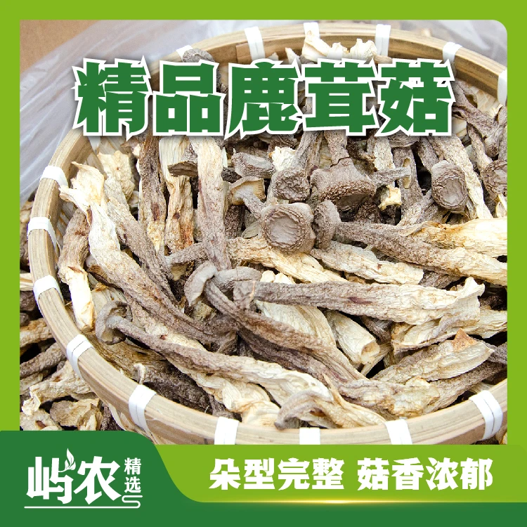 【精品鹿茸菇】特产天然食用清香炒菜煲汤美味朵形完整菇香浓郁