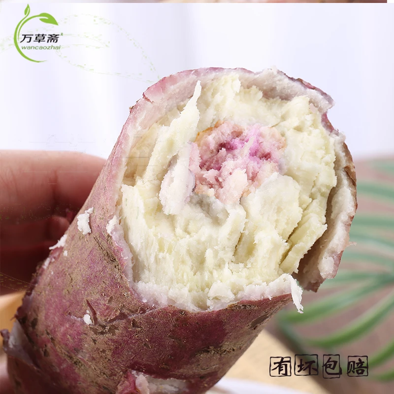 番薯新鲜冰淇淋红薯一点红地瓜粉糯香地瓜饱腹粗粮茂名