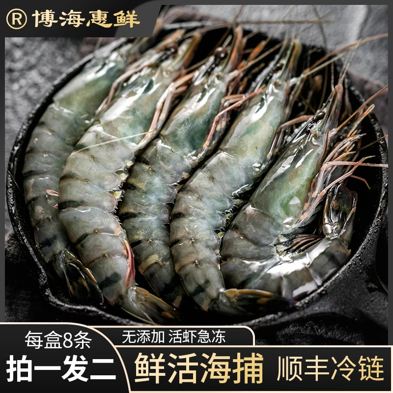 博海惠鲜鲜甜黑虎虾优质海洋大虾活冻黑虎虾400克8条【拍1发2】