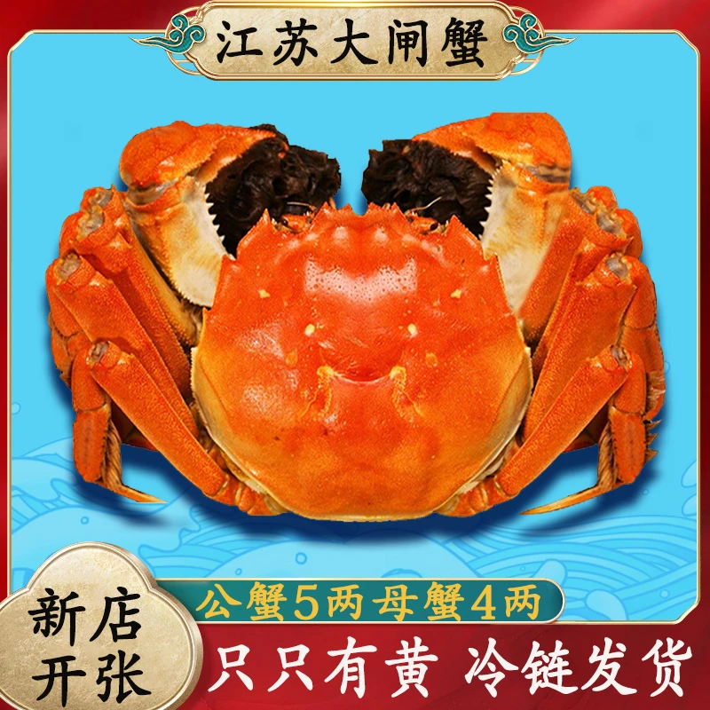 【活蟹】5两公蟹4两母蟹6-10只礼盒装红膏蟹大闸蟹鲜活现货螃蟹特大