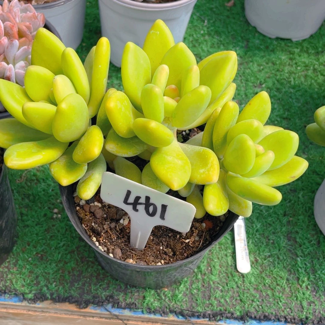 嘉*儿461;)$877&&&&&&&