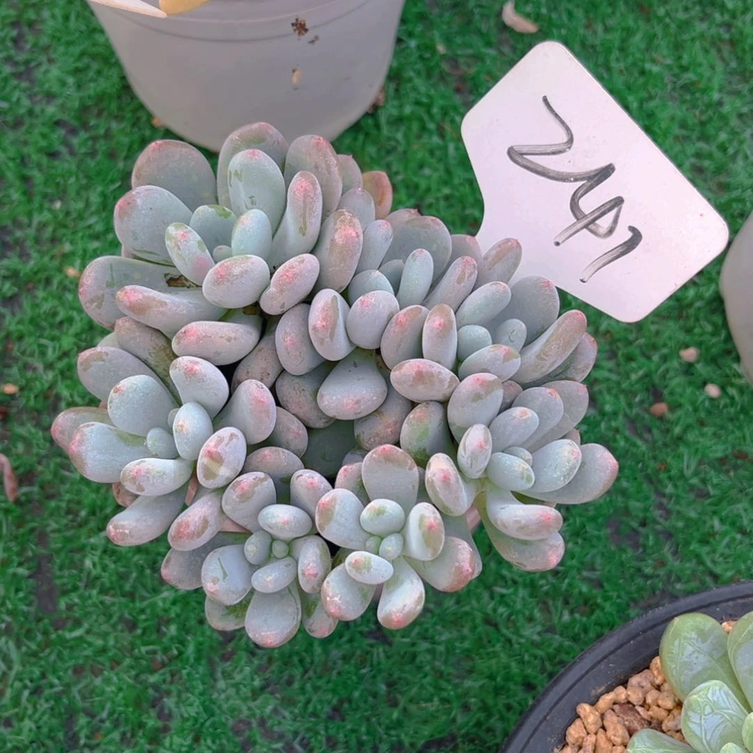 冬**雪241fghjjjjjjjkn