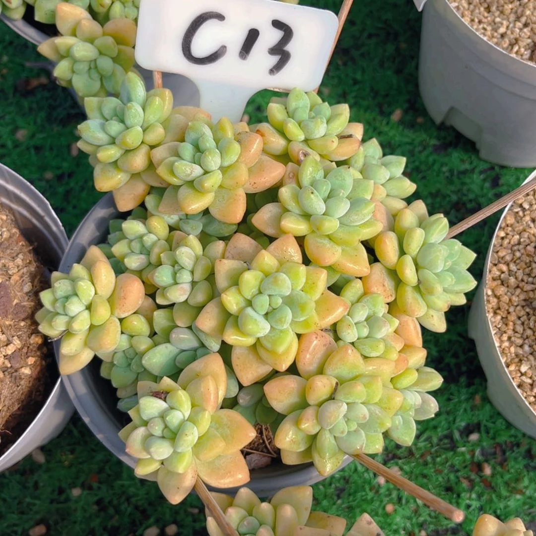 W***?13fghjjkkkkkkjjj